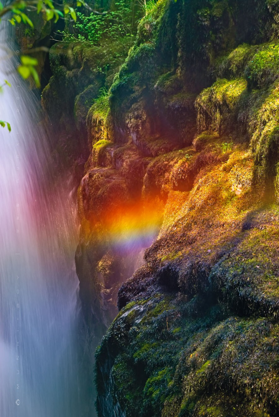 Aira Force